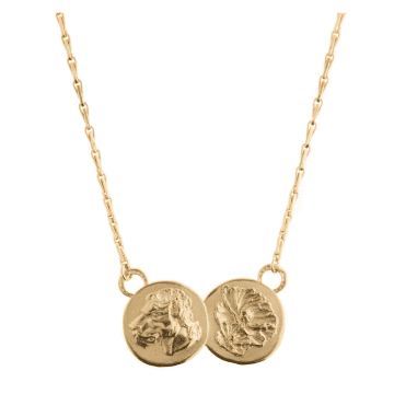 Mikaela Lyons Lioness Double Coin Pendant In Metallic