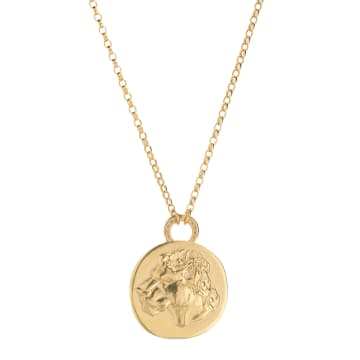 Mikaela Lyons Large Lioness Coin Necklace In Metallic