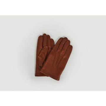 Agnelle Loic Gloves