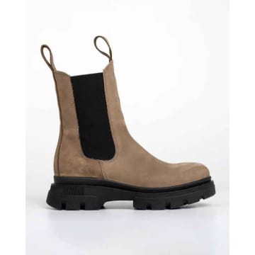 Brgn Chelsea Boot Camel