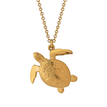 Alex Monroe Sea Turtle Necklace In Gold
