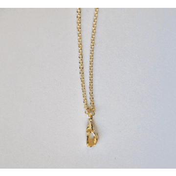 Hannah Bourn Tiny Fragmented Shell Necklace In Gold