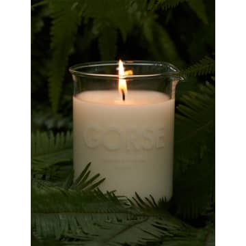 Laboratory Perfumes Gorse Candle In Transparent
