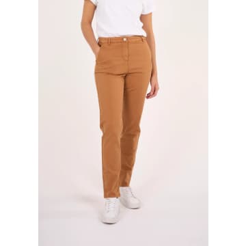 Knowledge Cotton Apparel Women's Chinos In Brown