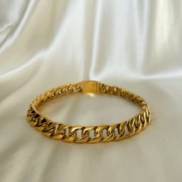 Anisa Sojka Mini Chunky Chain Necklace In Gold