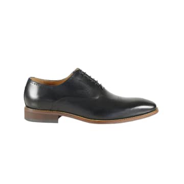 Azor Pompei Semi Brogue Oxford Shoes In Black
