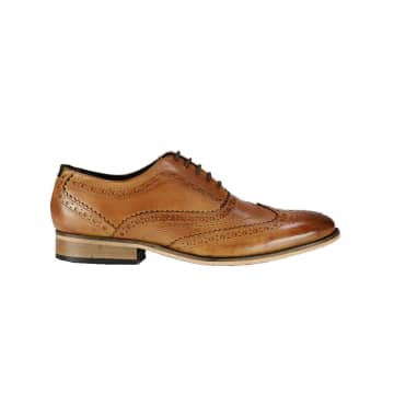 Front Diego Oxford Leather Brogues In Neutrals