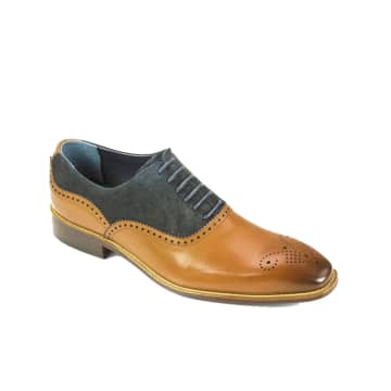 Azor Nazaro Suede Leather Oxford Brogues In Neutrals