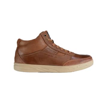 Front Rocky Leather Hi Trainers In Neutrals