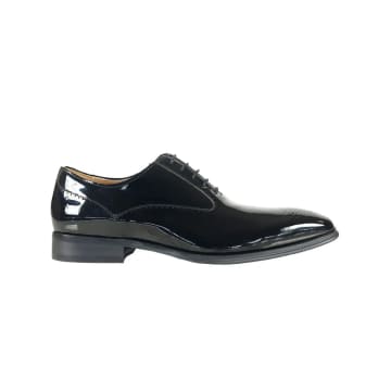Azor Ricardo Semi Brogue Derby Shoes In Black