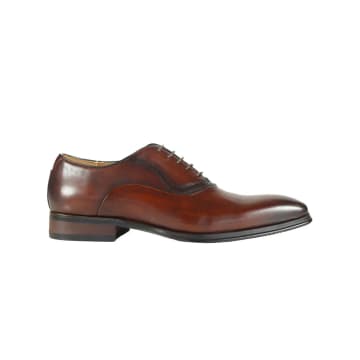 Azor Geneva Oxford Shoes In Brown