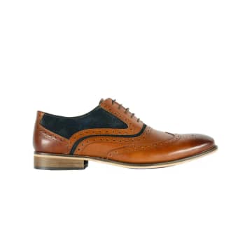 Front Spencer Oxford Leather Brogues In Neutrals
