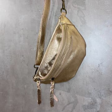 Cinnamon Paris Double Zip Metallic Leather Banana Bag