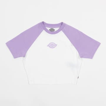 Dickies Womens Sodaville Cropped T-shirt In Purple Rose
