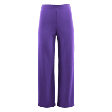 Sisterspoint Neat Pants In Purple