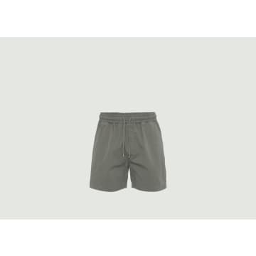 Colorful Standard Twill Shorts