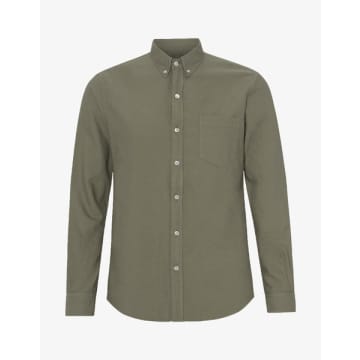 Colorful Standard Chemise Organic Button Down Dusty Olive In Green