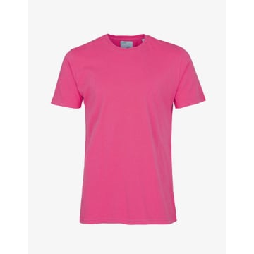Colorful Standard T-shirt Classic Organic Cs1001 Bubble Gum Pink
