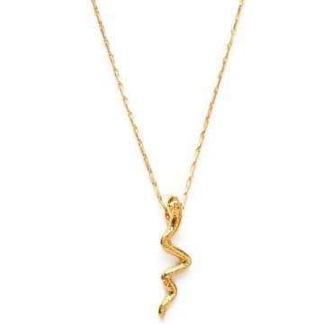 Amano Gold Serpent Necklace
