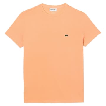 Shop Lacoste Pima Cotton T-shirt Th6709 In Orange