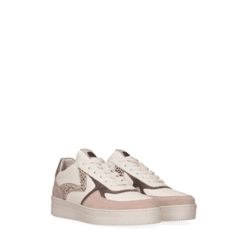 Maruti Momo Leather Trainers In Pink/white/lilac Pixel