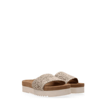 Maruti Boedapest Hairon Leather Sandals In Pixel Off White Black