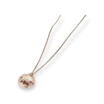 Posh Totty Designs 18ct Rose Gold Plated Curved Sand Dollar