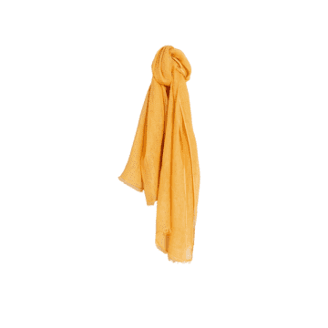 Indi And Cold Plain Linen Scarf In Pumpkin