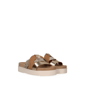 Maruti Bari Leather Sandals In Gold/sandalwood Pixel