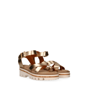 Maruti Kiki Leather Sandals In Gold