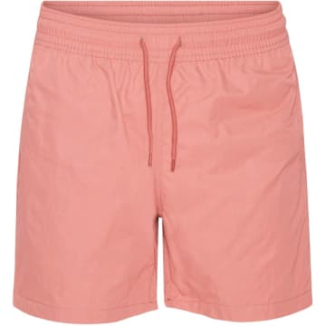 Colorful Standard Bright Coral Classic Swim Shorts In Pink