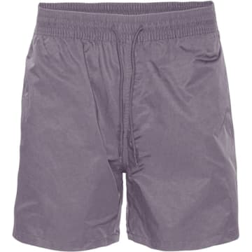 Colorful Standard Purple Haze Classic Swim Shorts