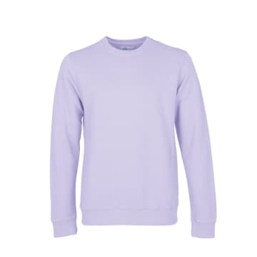 Colorful Standard Soft Lavender Organic Cotton Crew Neck Sweatshirt