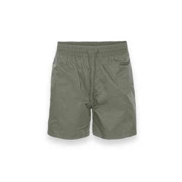 Colorful Standard Classic Swim Shorts Dusty Olive In Green