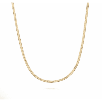Daisy London X Estée Lalonde Short Flat Snake Chain Necklace In Gold