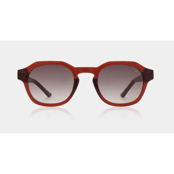 A.k.jaebede Brown Transparent Zan Sunglasses