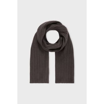 Care By Me Sara Cashmere Scarf In Brown