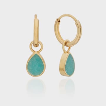 Anna Beck Amazonite Drop Charm Earrings In Gold