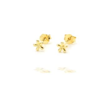 Curiouser Collection Gold Plated Ditsy Flower Stud Earrings