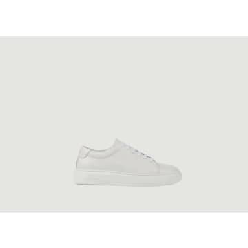 National Standard Trainers Edition 3l In White