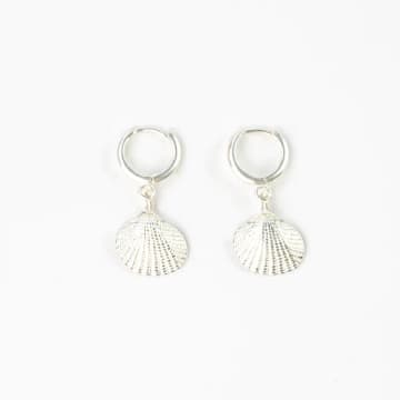 Pineapple Island Asri Seashell Huggie Hoop Silver Earrings In Metallic