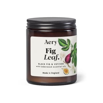 Aery Fig Leaf Scented Jar Candle