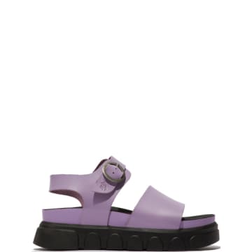 Fly London Violet Cree947 Sandals In Purple