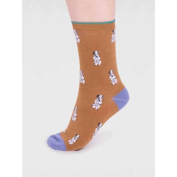 Thought Spw798 Kenna Bamboo Dog Socks In Straw Yellow