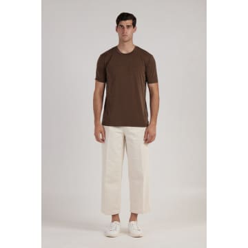Daniele Fiesoli Brown Cotton Silk Round Neck T Shirt