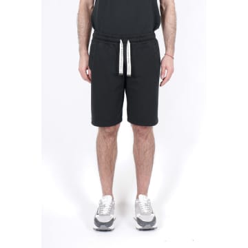 Shop Daniele Fiesoli Black Cotton Shorts