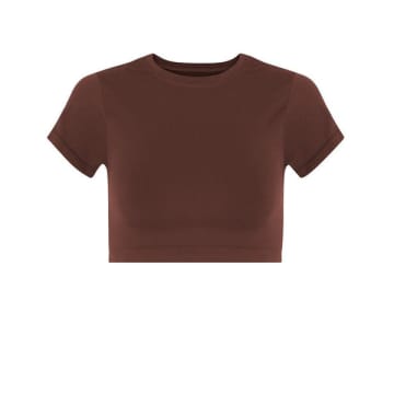 Prism Mindful Maroon Cropped T-shirt