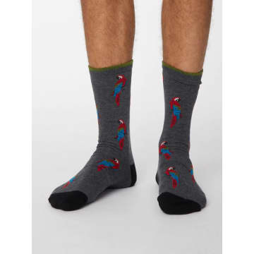 Lark London Men's Pappagallo Socks In Grey