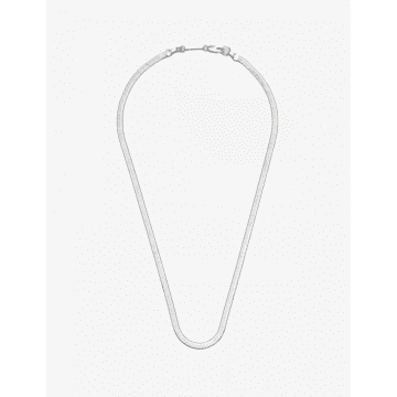 Estella Bartlett Silver Herringbone Chain Necklace In Metallic