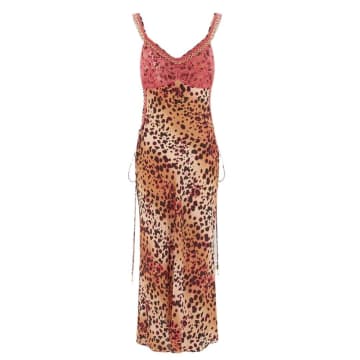Hayley Menzies Lace Silk Midi Slip Dress In Tan
